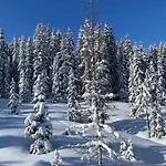 Apartamento By Reiteralm -ski In Out *