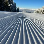 Apartamento By Reiteralm -ski In Out *