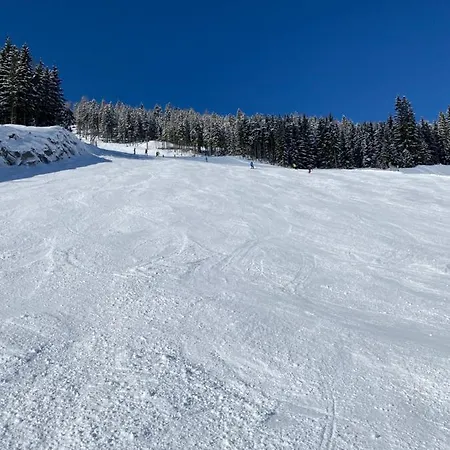 By Reiteralm - With Schladming-dachstein Summer Card Apartament *
