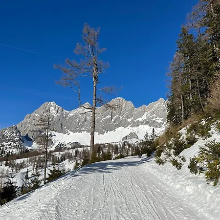 By Reiteralm -ski In Out *