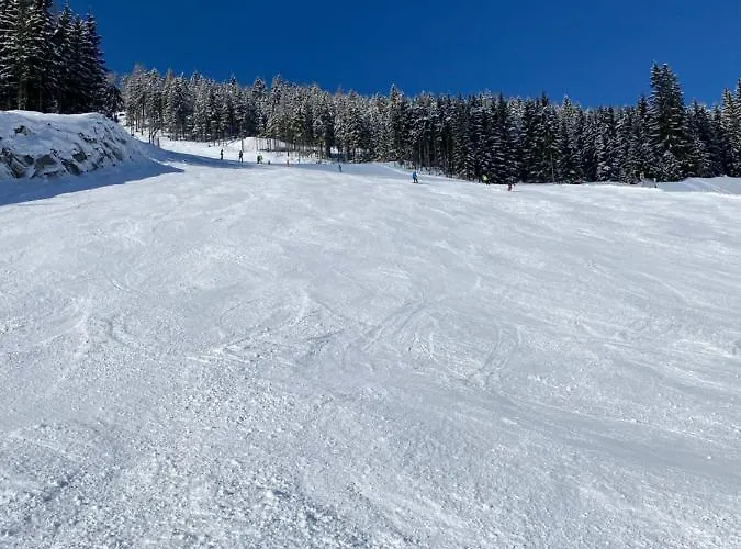 By Reiteralm -ski In Out Appartement *