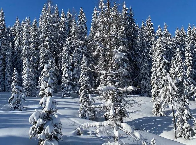 Appartement By Reiteralm -ski In Out *