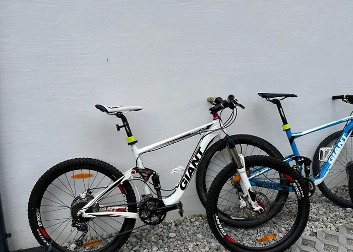 Appartamento By Reiteralm -ski In Out