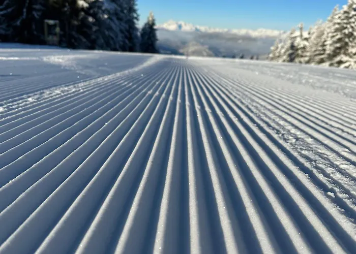 Appartamento By Reiteralm -ski In Out *