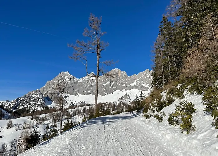 By Reiteralm -ski In Out *