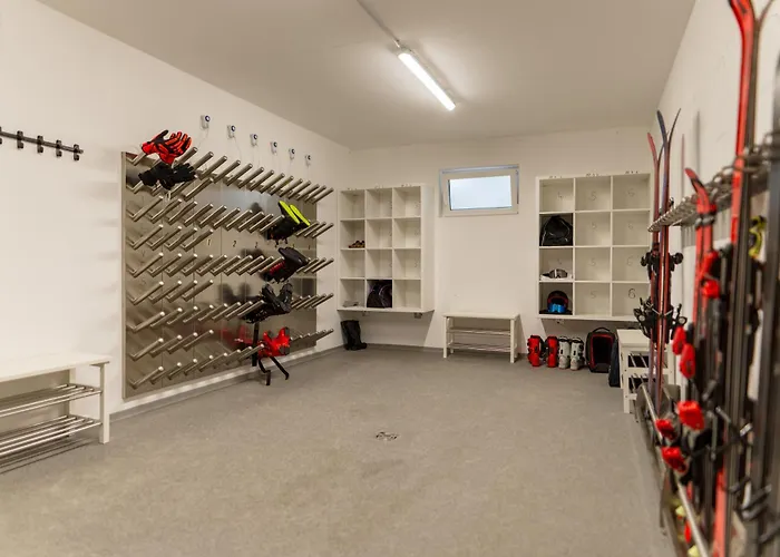 Appartamento By Reiteralm -ski In Out Schladming